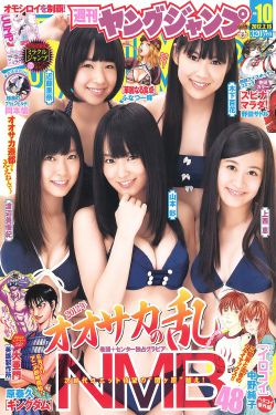 西北军军V2广东仔106G